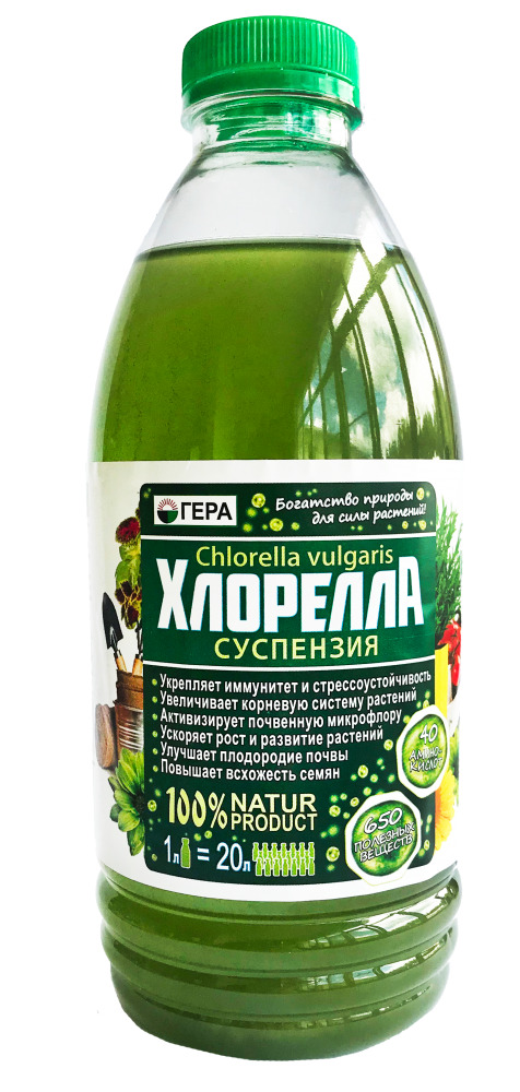 Интернет Магазины Растений Отзывы Покупателей