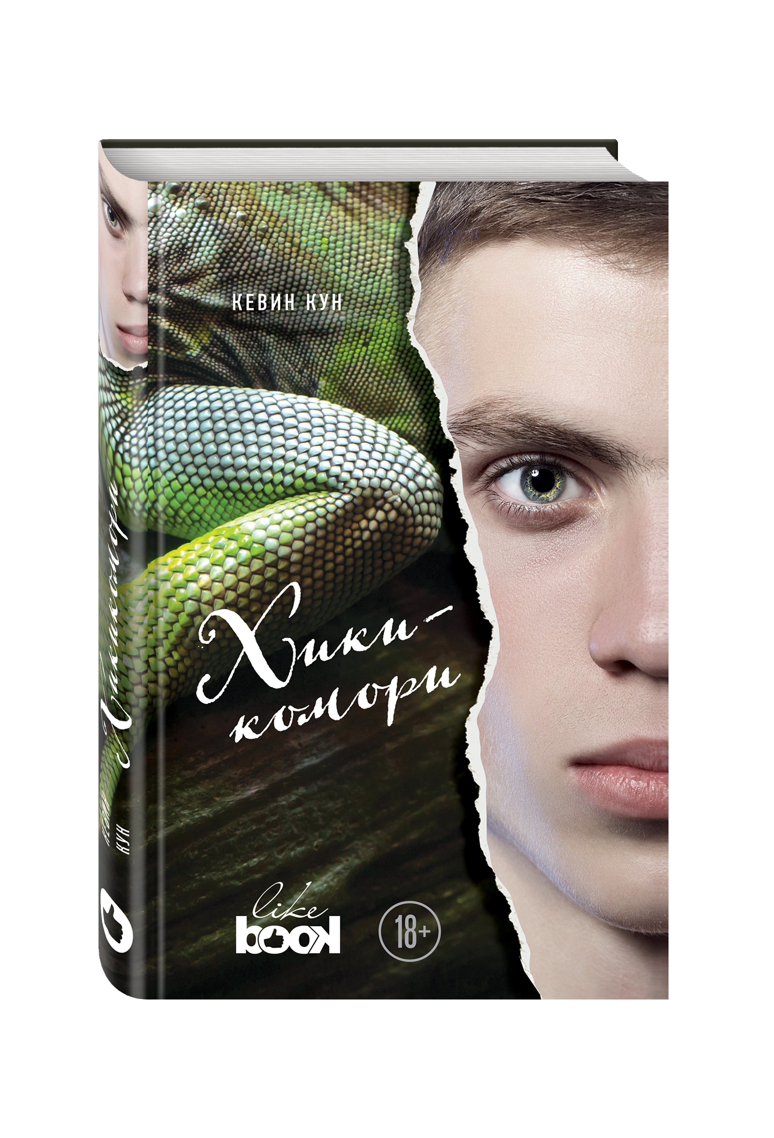 Хикикомори | Кун...