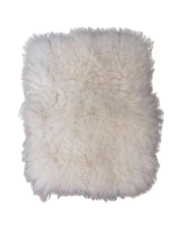 lucknow sheepskin