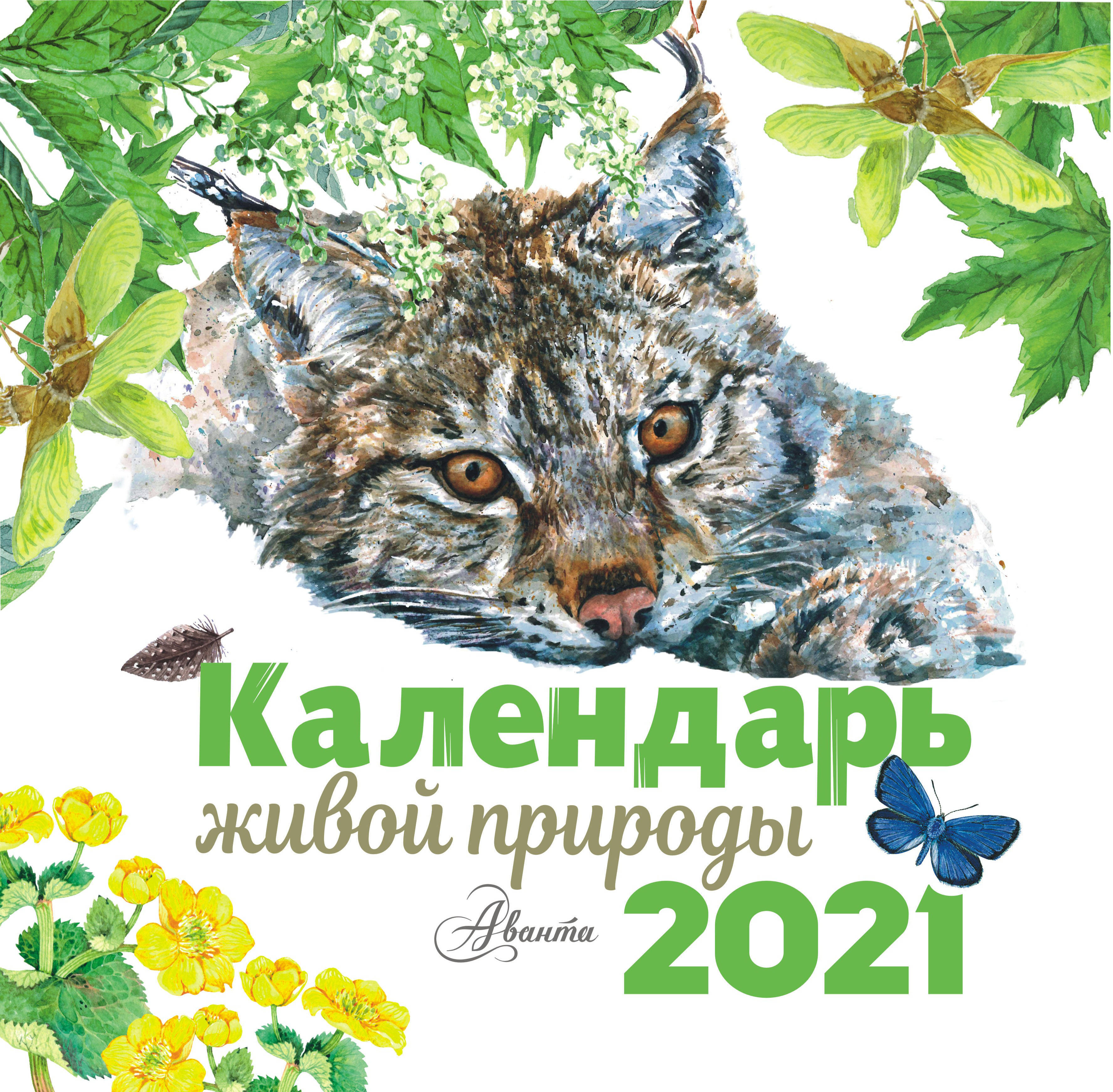 Календарь 2025 год природа