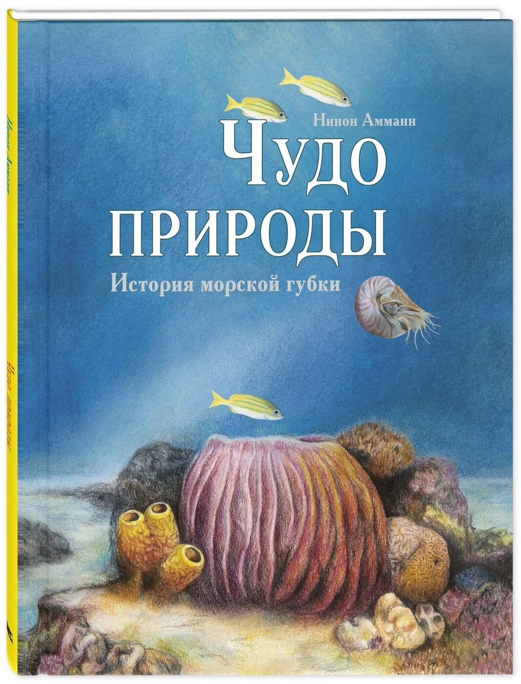 Чудо природы. История морской губки | Нинон Амманн - купить с доставкой по  выгодным ценам в интернет-магазине OZON (217803398)