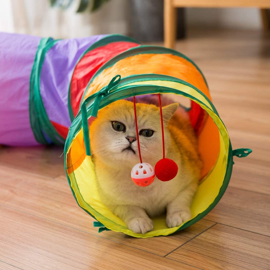 Тоннель для кошек