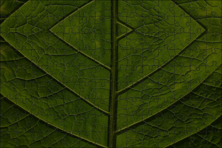 Green leaf отзывы. Улица листья зеленый. Foliage Green. Green листья j,JV 2r.