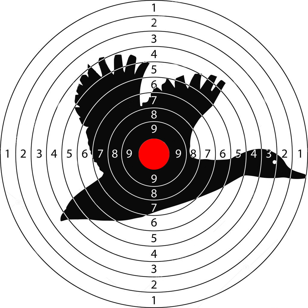 Рисунок мишень для стрельбы распечатать