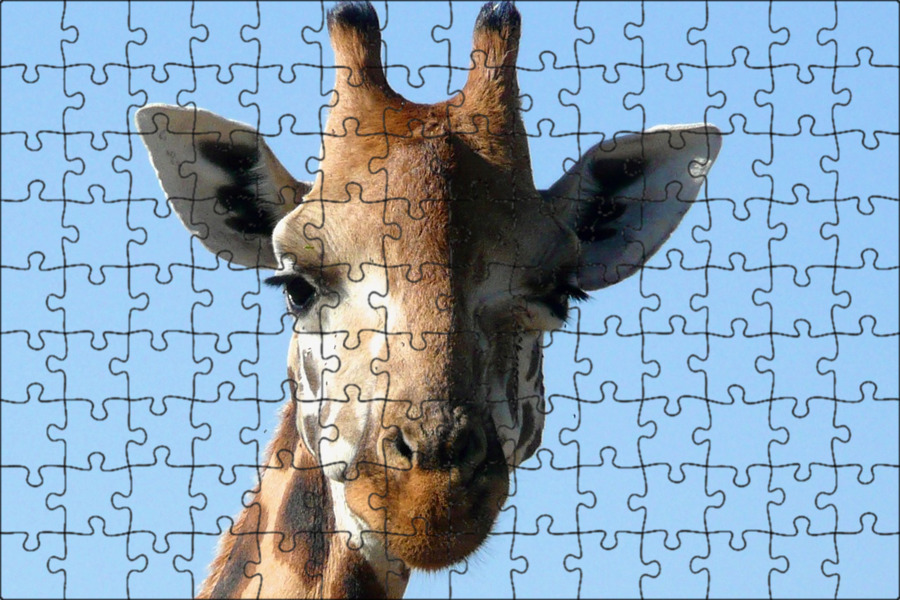 Магнитный пазл 27x18см."Жирафа, голова, зоопарк" на холодильник - купить в интер