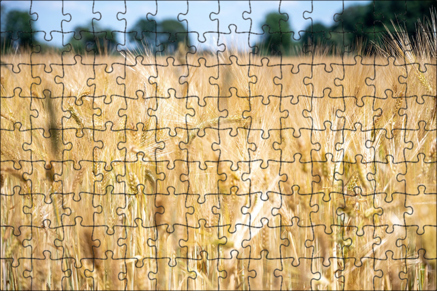 Раскаленное поле puzzle chaos