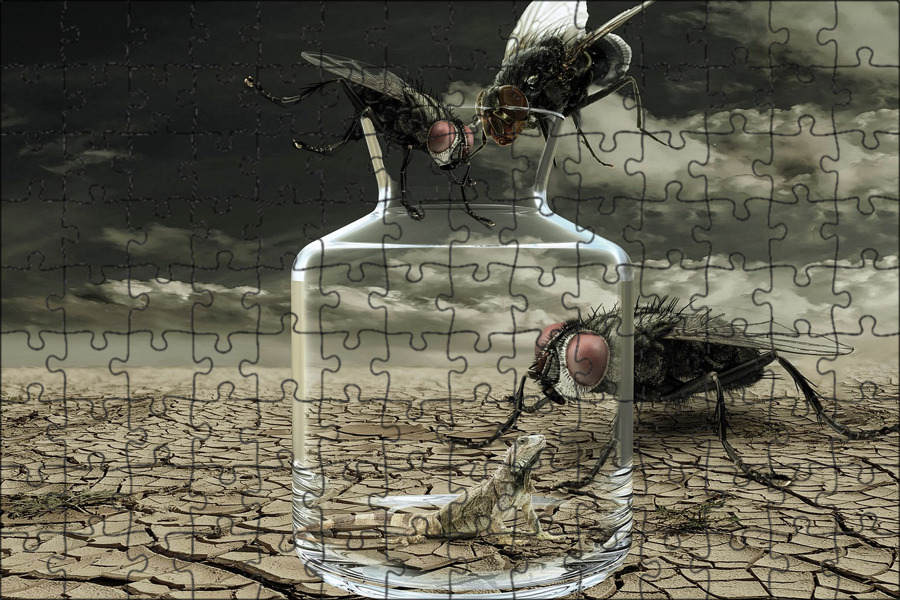 Дюна арракис планета пустыня. Роза иерихона растение. Роза иерихона. Фантастика-романтика ю. Плод пустынного воображения.