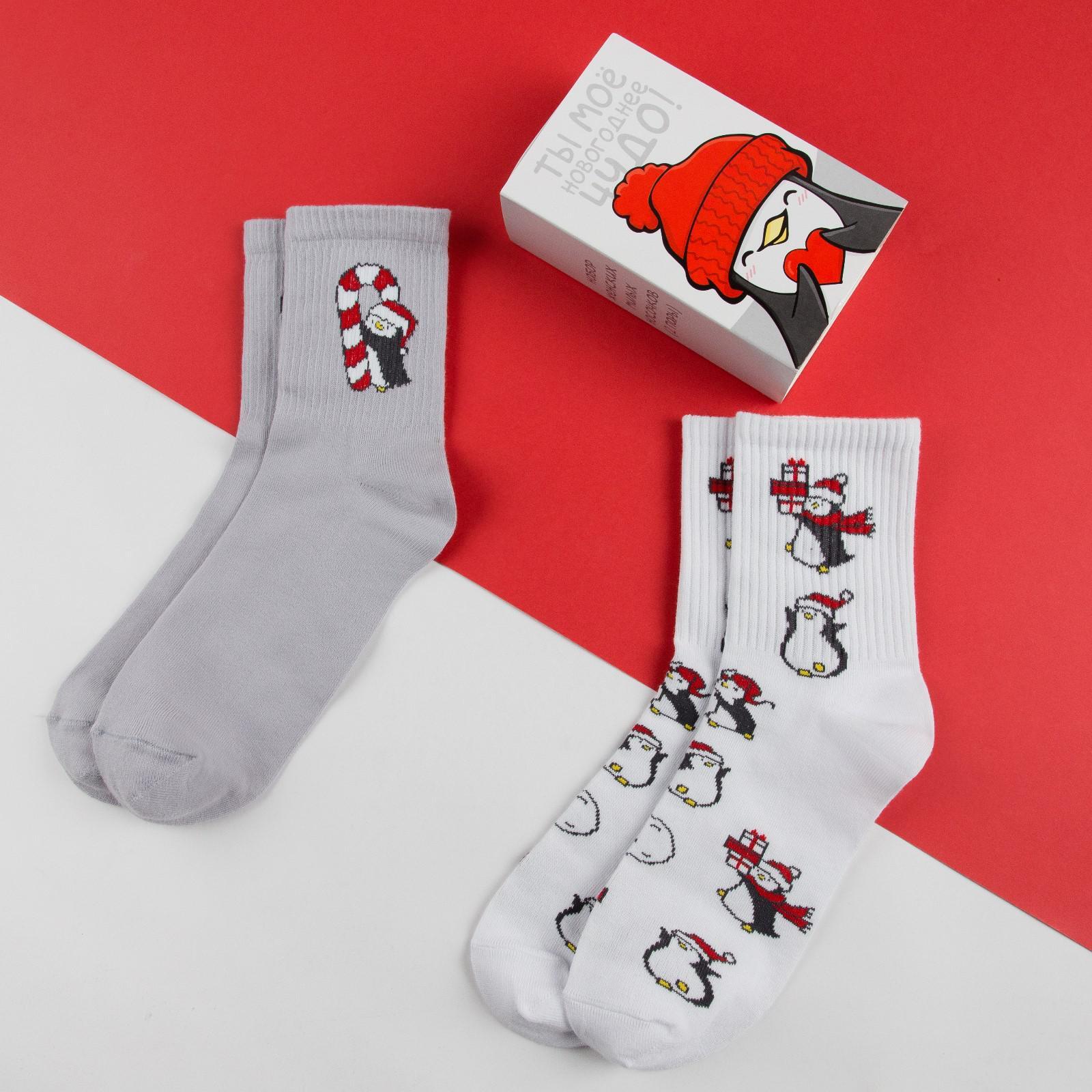 Подарочный набор женских носков "Пингвин", размер 36-39, 2 пары