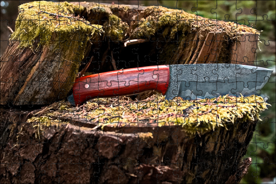 Forest knives. Нож Форест. Нож Forest Knife. Нож бушкрафт охотничий. Ножи на пеньке.