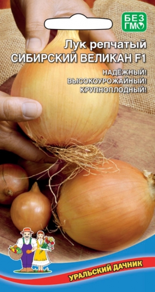 Лук штутгартер описание сорта фото. Лук сибирский великан f1. Сибирский гигант лук репчатый. Лук севок сибирский однолетний. Лук репчатый однолетний сибирский.