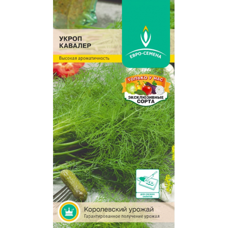 Сорт кавалер. Укроп салатный семена. Укроп Каскеленский евро семена. Укроп салатный семена фирма. Стевия Детскосельская евро семена