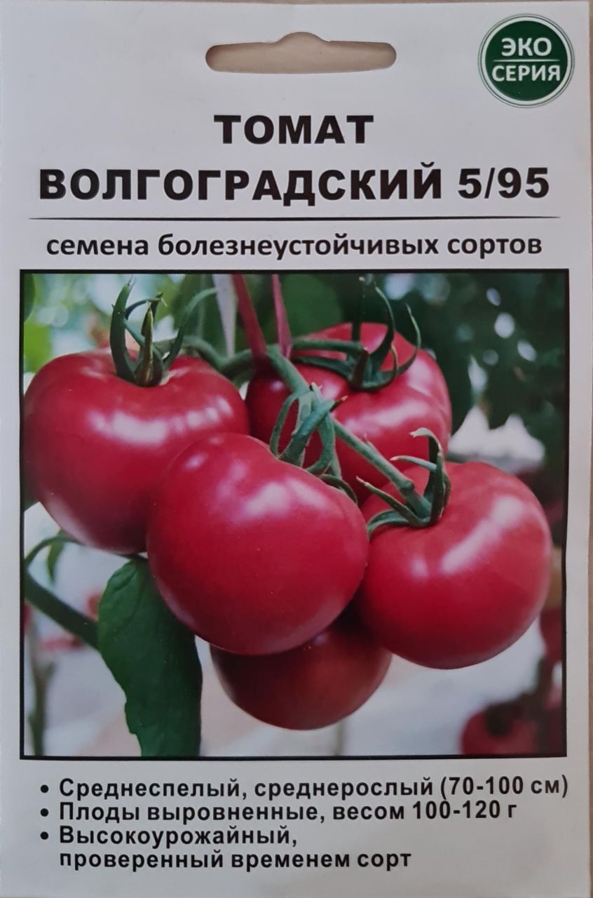 Волгоградский помидоры описание. Томат Волгоградский скороспелый 323. Томат Волгоградский 5/95. Волгоградский помидор 5/95 описание. Томат Волгоградский позднеспелый.