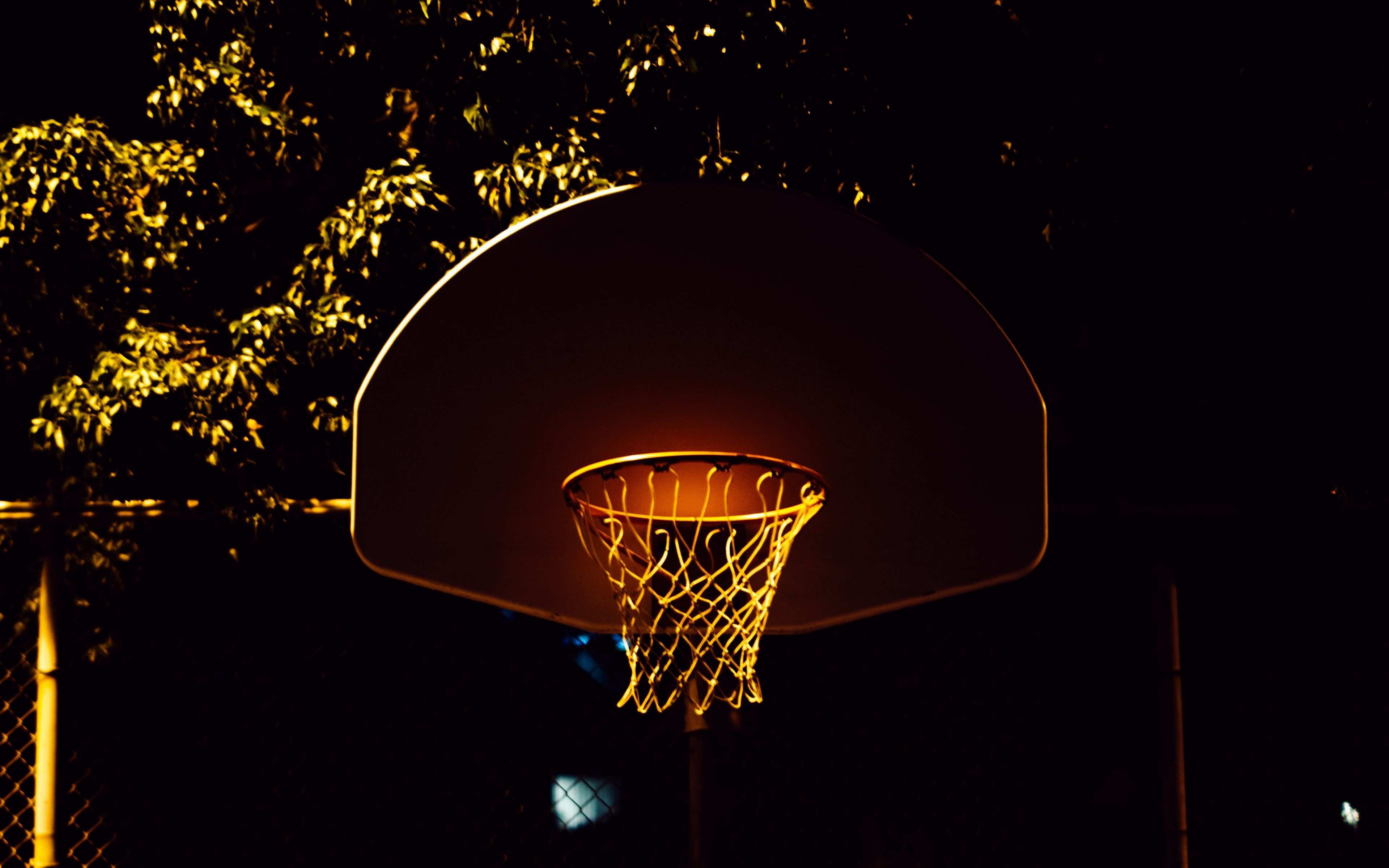 Баскетбольное кольцо красивое