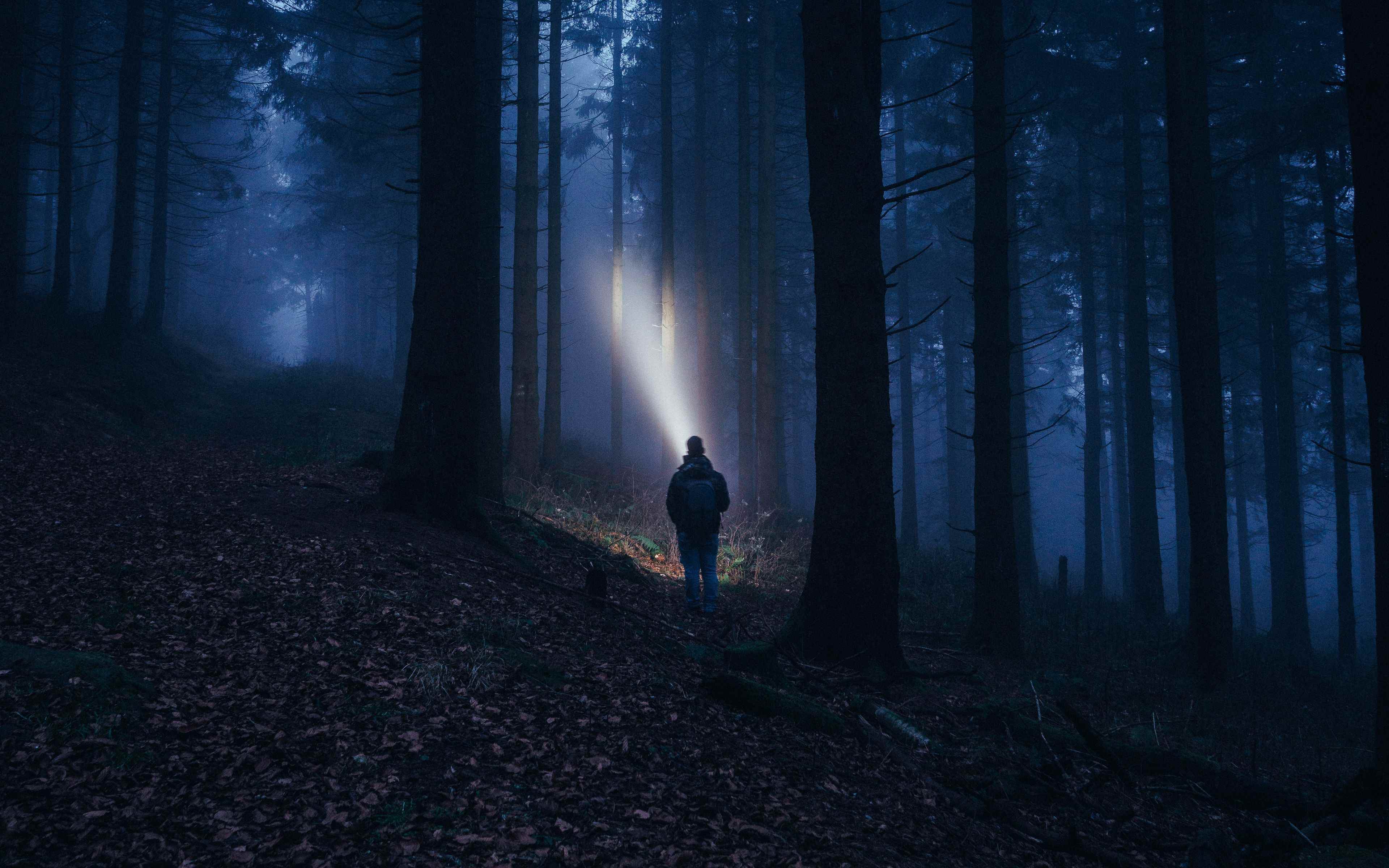 Продолжить темнота. «Ночь в лесу». Ночной лес. Человек в ночном лесу. Лес в тумане.