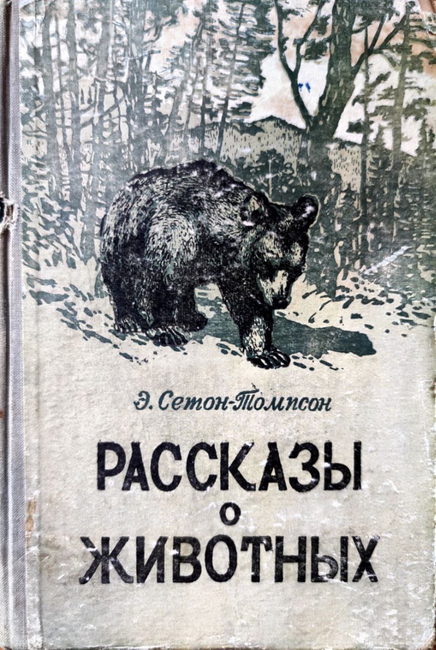 Рваное ушко сетон. Э Сетон Томпсон Чинк. Томпсон рассказы о животных. Э Сетон Томсон Чинк распечатать.