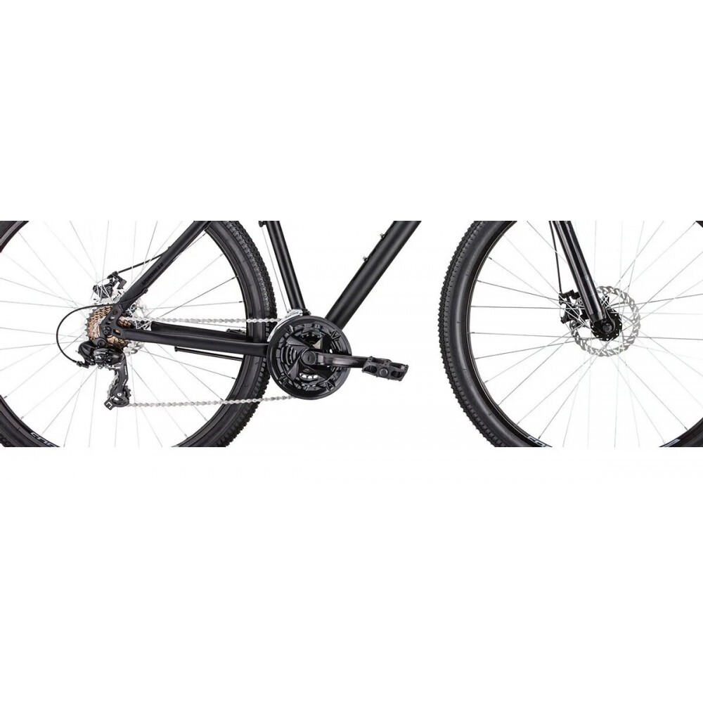 Forward sporting 29 disc