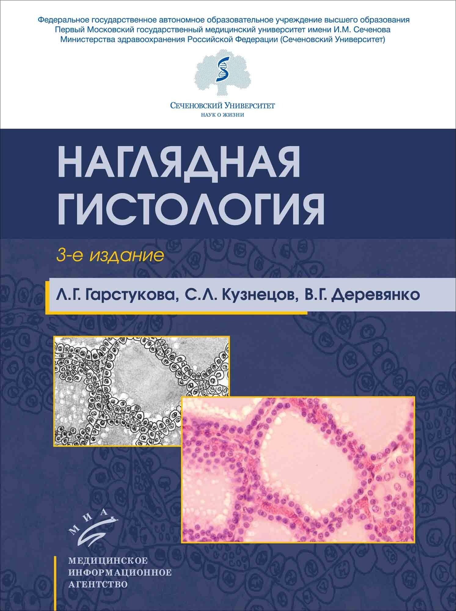 Гистология сеченова. Гарстукова л.г наглядная гистология. наглядная гистология гарстукова. гарстукова кузнецов гистология. наглядная гистология кузнецов.