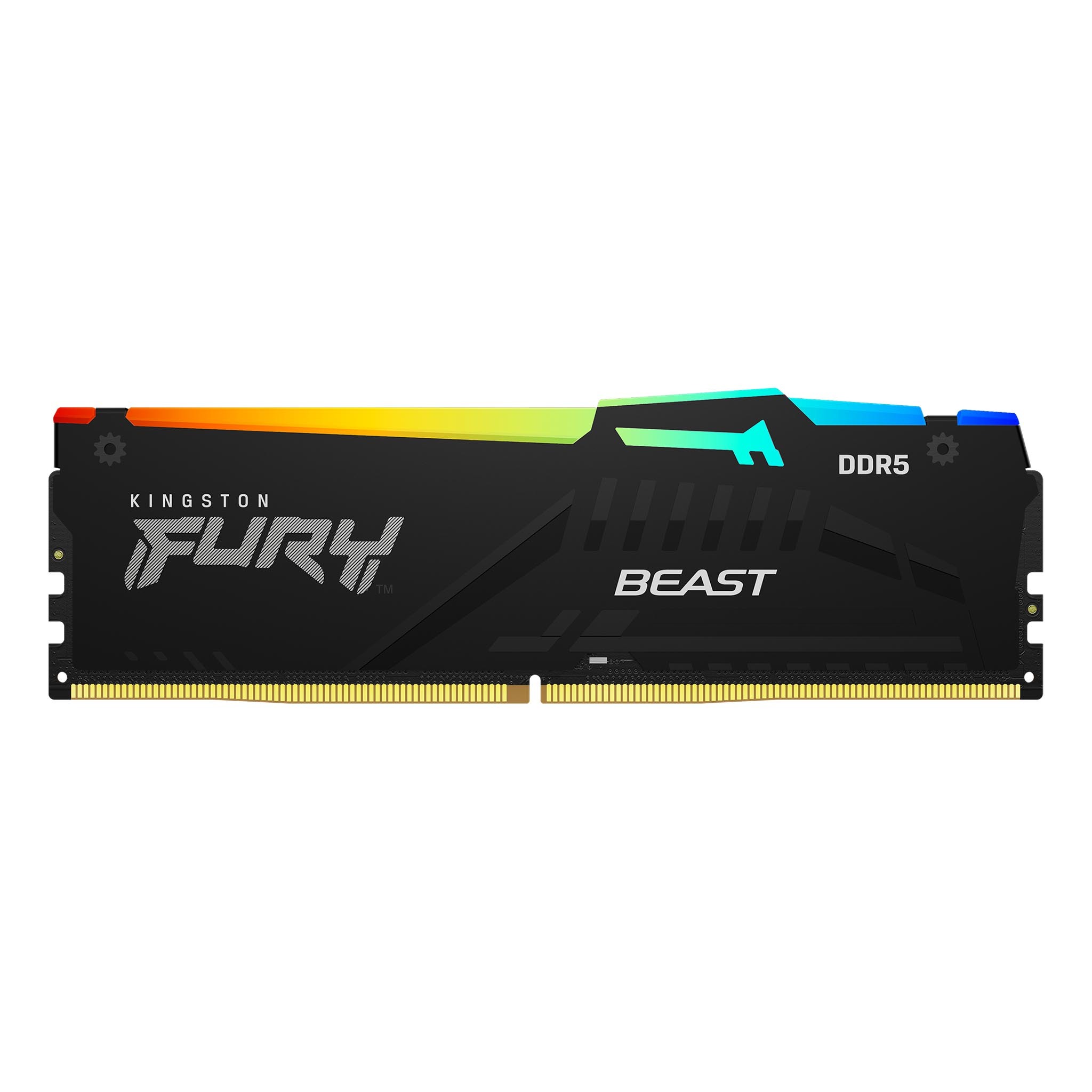 Kingston fury beast rgb. Kingston Fury™ ddr5 kf556c40bbak2-32. Kingston kf556c40bba. Оперативная память Kingston Fury Beast 16 ГБ (8 ГБ X 2). Kingston Fury Beast ddr5 DIMM.