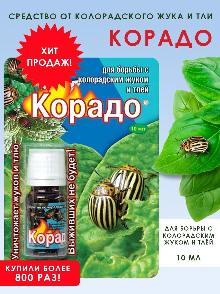 Средство от колорадского жука отзывы. Корадо от колорадского жука. Корадо 10 мл. Корадо против колорадского жука. Корадо 25мл (ваше хозяйство).