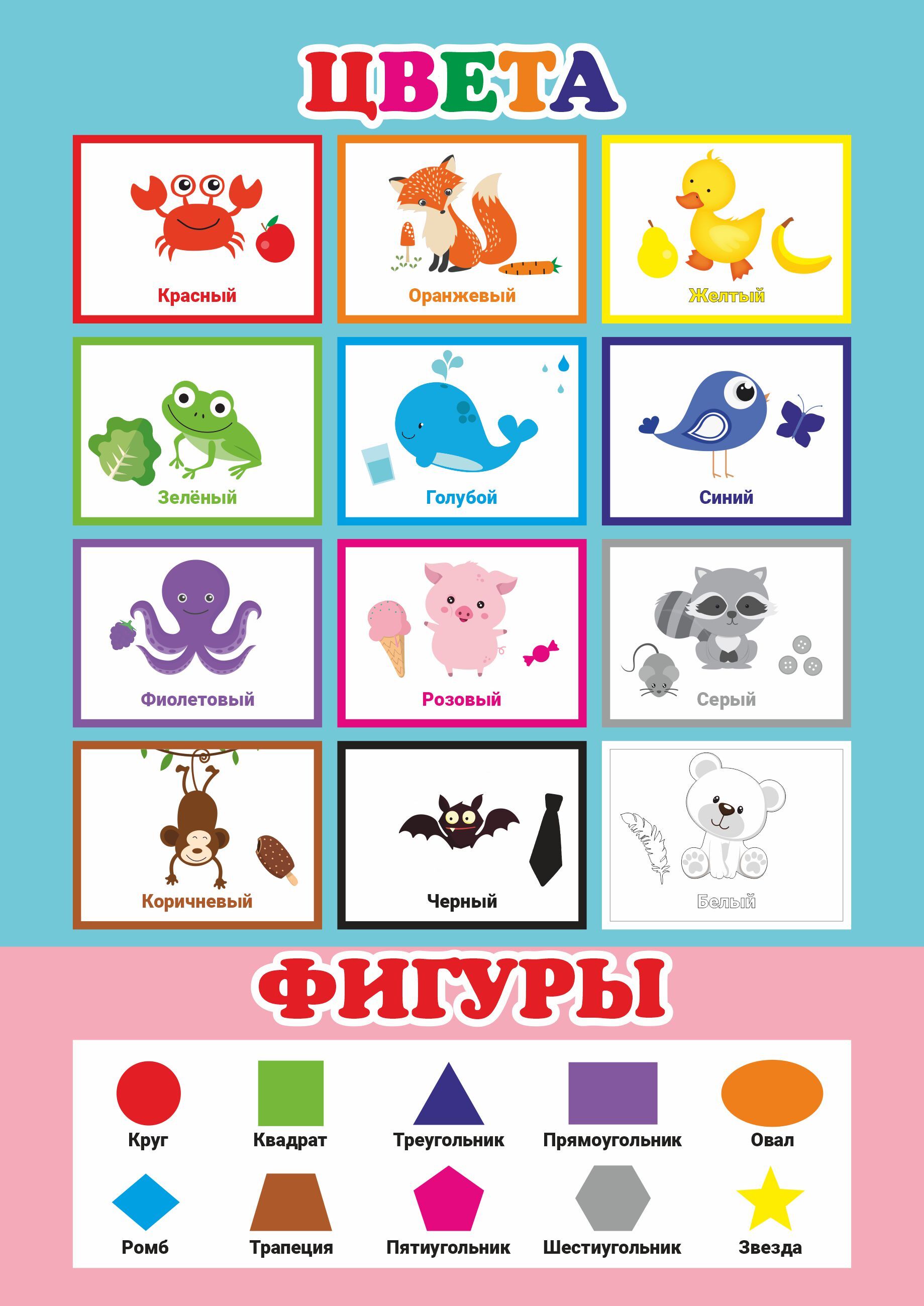 Плакат детский развивающий «Алфавит» ламинированный, А2