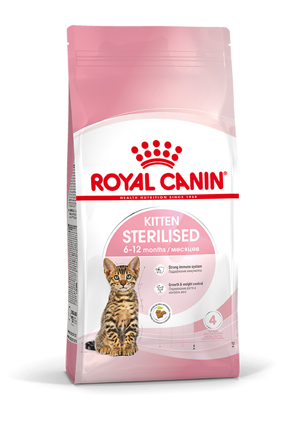 royal canin starter pack kitten