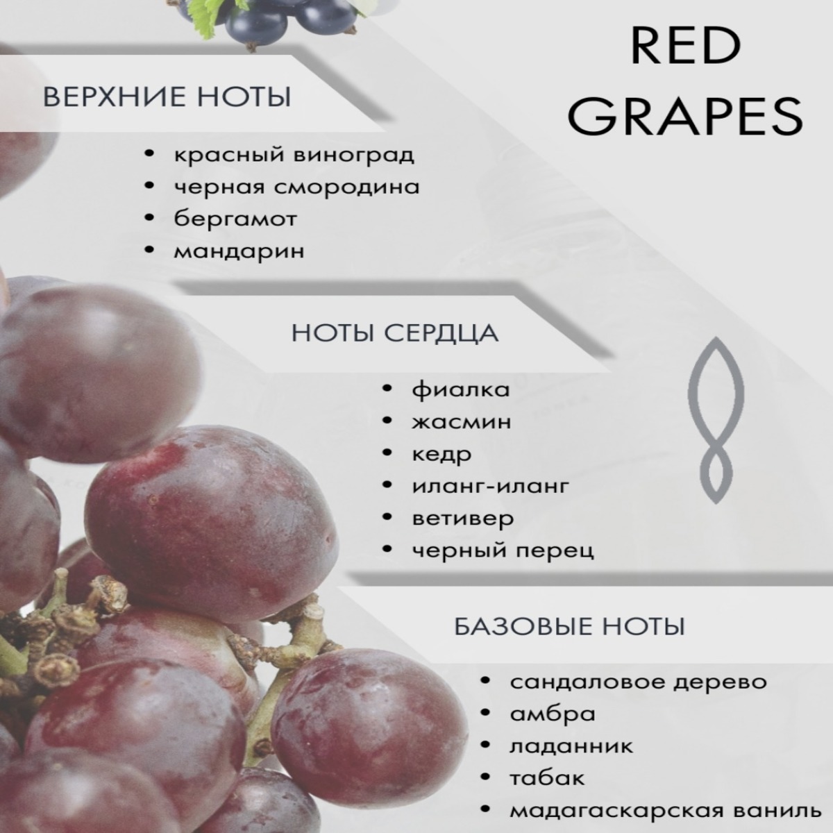 Сорт винограда парфюм фото и описание