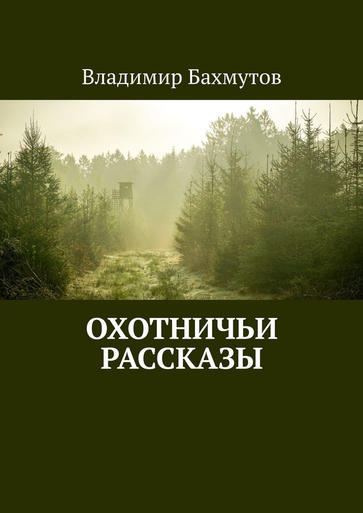 Художественные книги про охоту. Охотничьи рассказы книга. Охотничьи рассказы. Охотничьи рассказы автор. Отзывы история.
