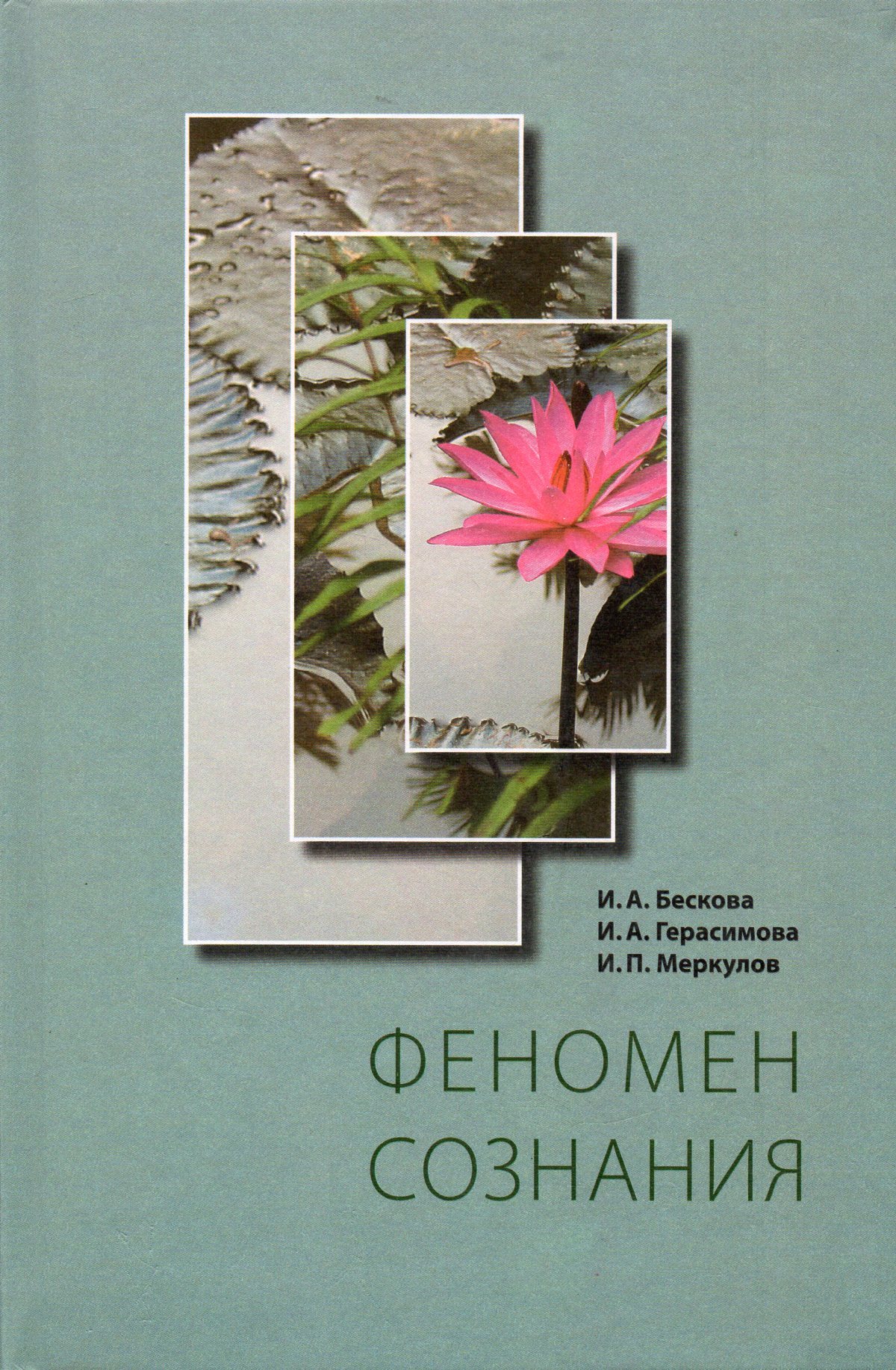 Феномен сознания. Бескова Ирина Анатольевна. Феномен разума. Феноменальное сознание.