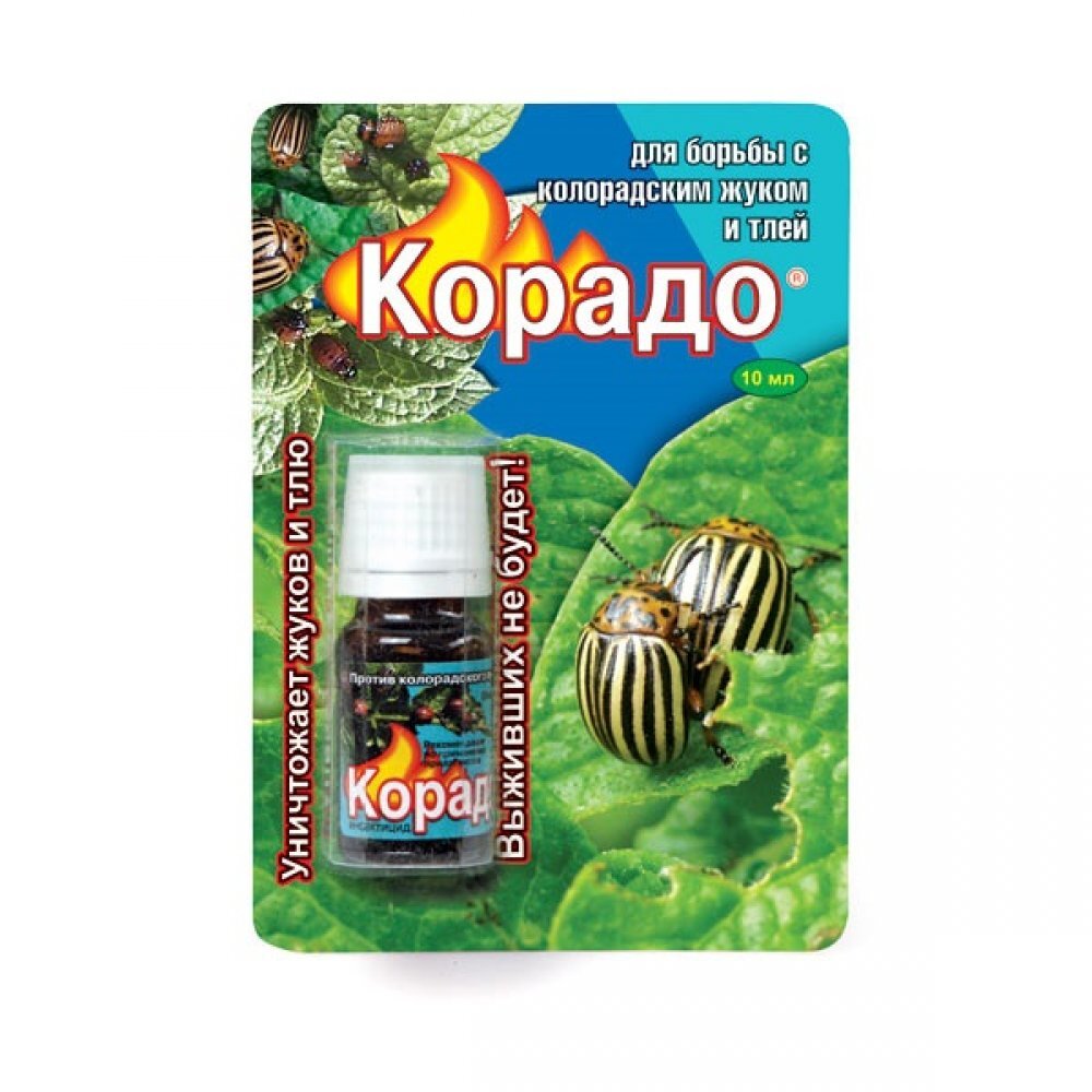 Корадо панем как разводить для картофеля