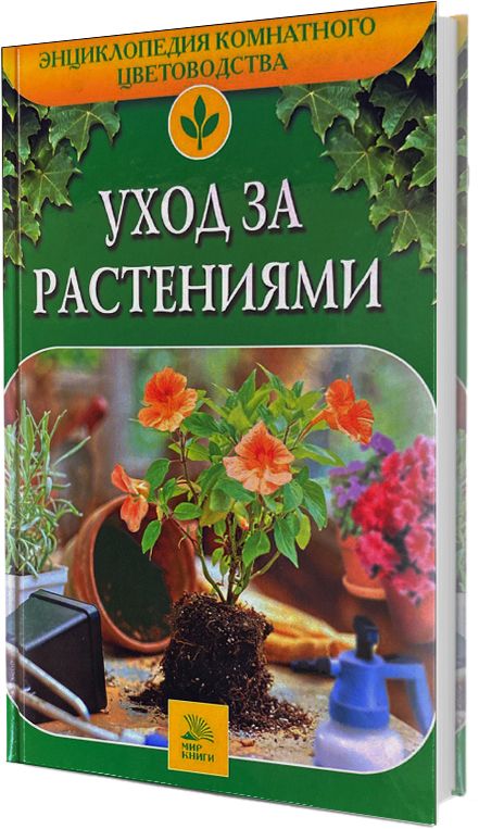 Уход За Книгой