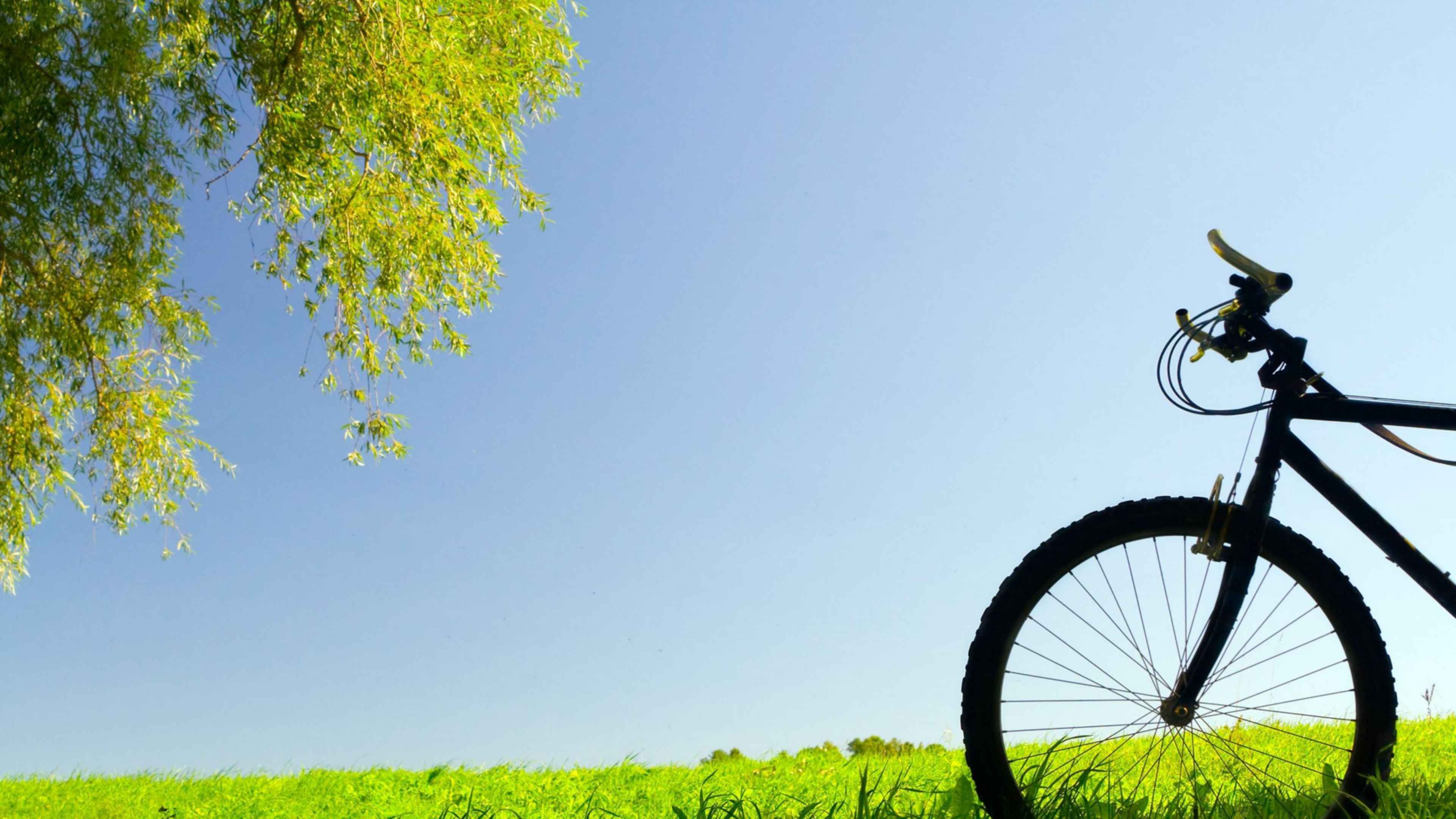 Высокий велик. Велосипед на природе. Велосипед на фоне природы. Велосипед обои. Лето велосипед.