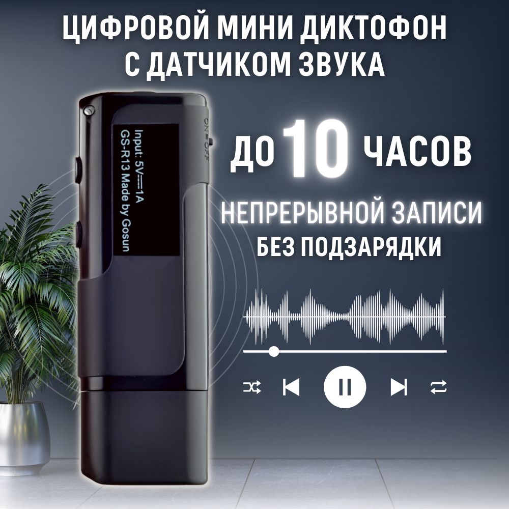 Диктофон Savetek Savetele8-1, WAV, 8 ГБ купить по выгодной цене в  интернет-магазине OZON (785428676)