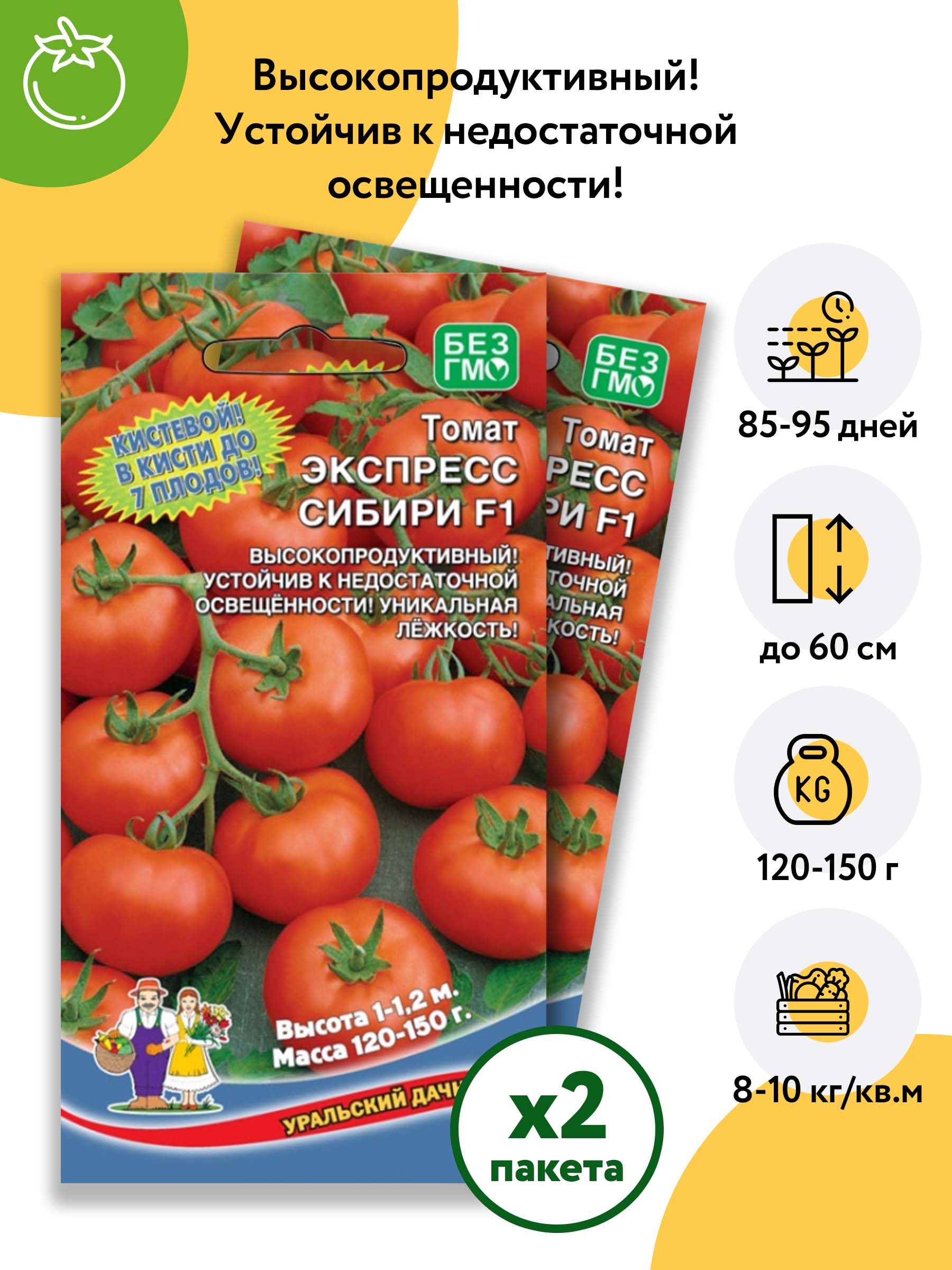 Семена под экспресс. Сибирский экспресс томат. Восточный экспресс томат. Томат Северный экспресс. Уральский экспресс томат описание сорта.