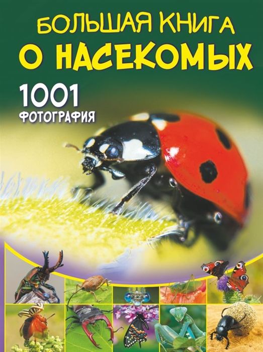 Большая книга о насекомых: 1001 фотография | Спектор Анна Артуровна