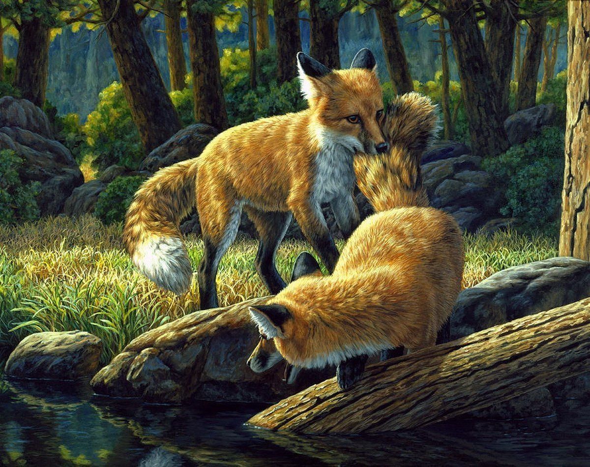 Тигр волк лиса. Художница Криста Форест. Американская художница Crista Forest картины. Пейзаж с животными. Живопись животные в природе.