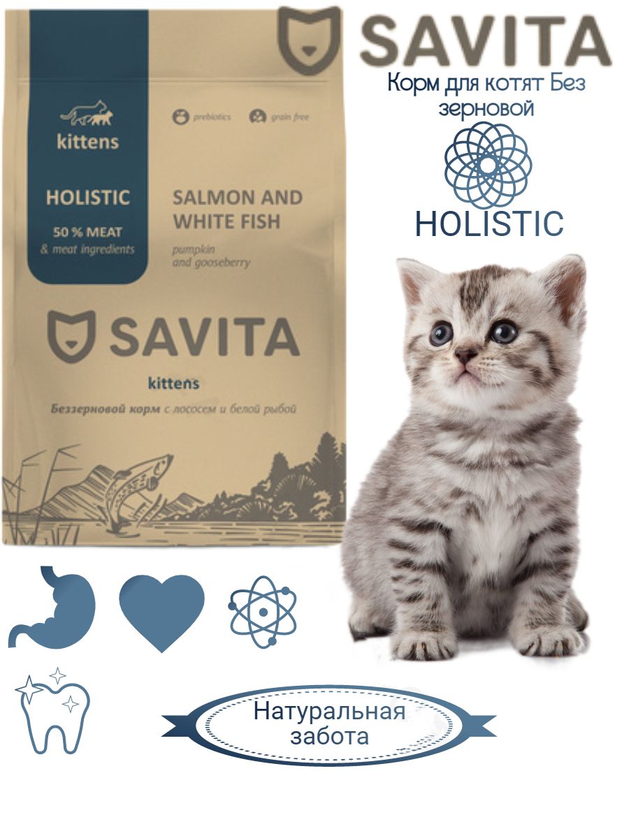 Savita для кошек отзывы. Savita корм для кошек. Корм савита для котят сухой. Холистик корм для кошек Savita. Savita для котят.