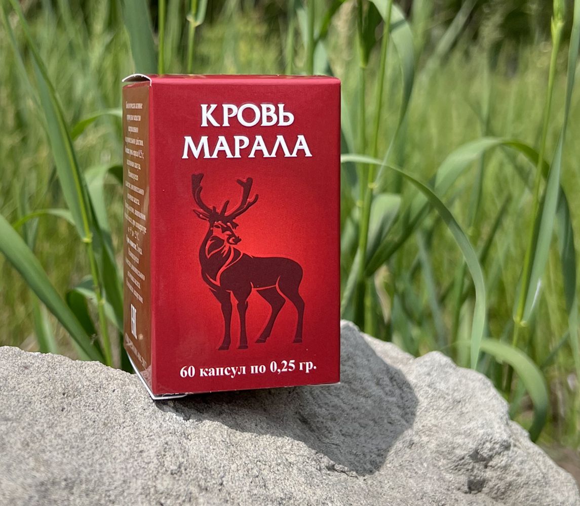 Кровь Марала Купить Алтайский