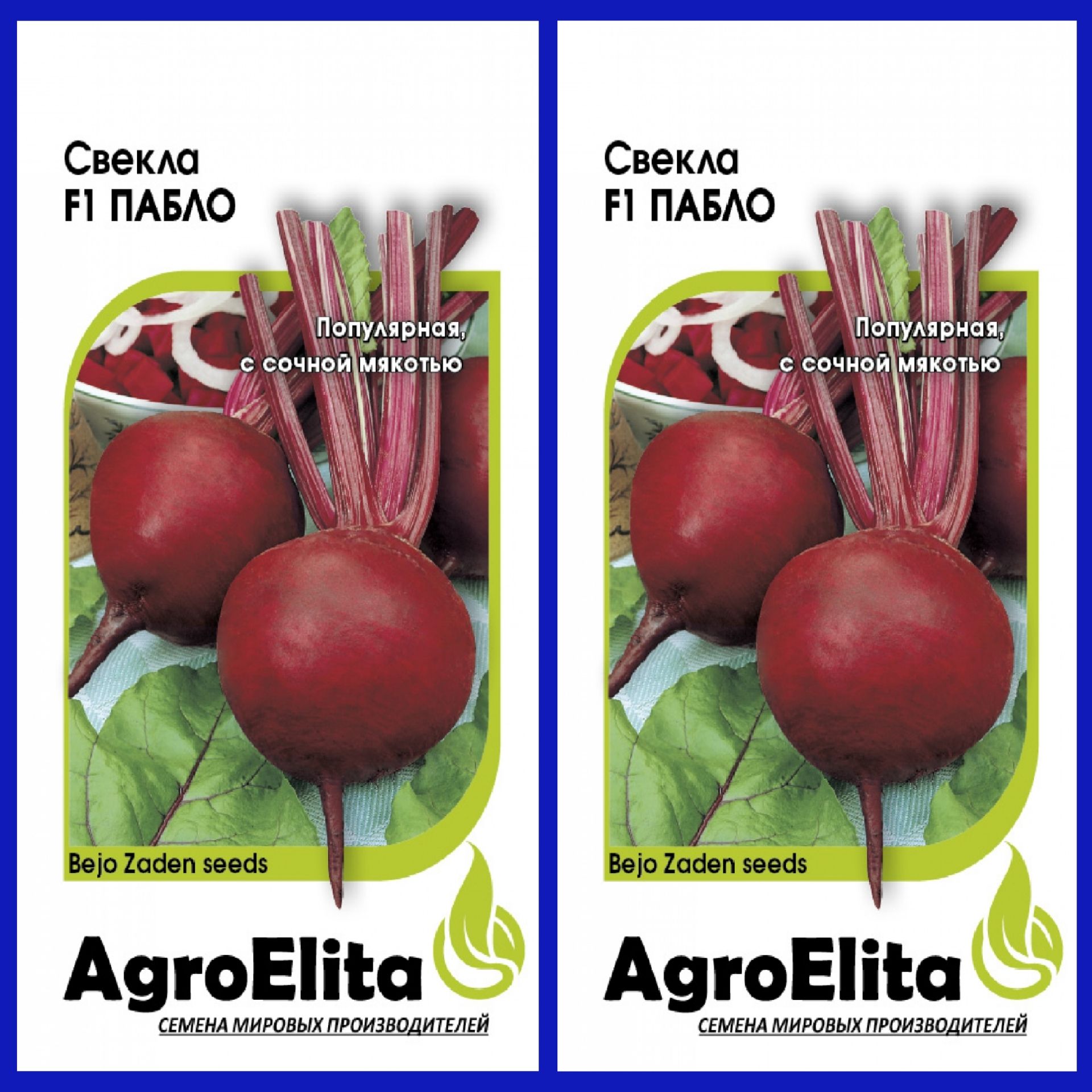 Свекла пабло f1 описание отзывы. Свекла Пабло. Свекла Водан. Свекла Пабло фото. Свекла Пабло описание.