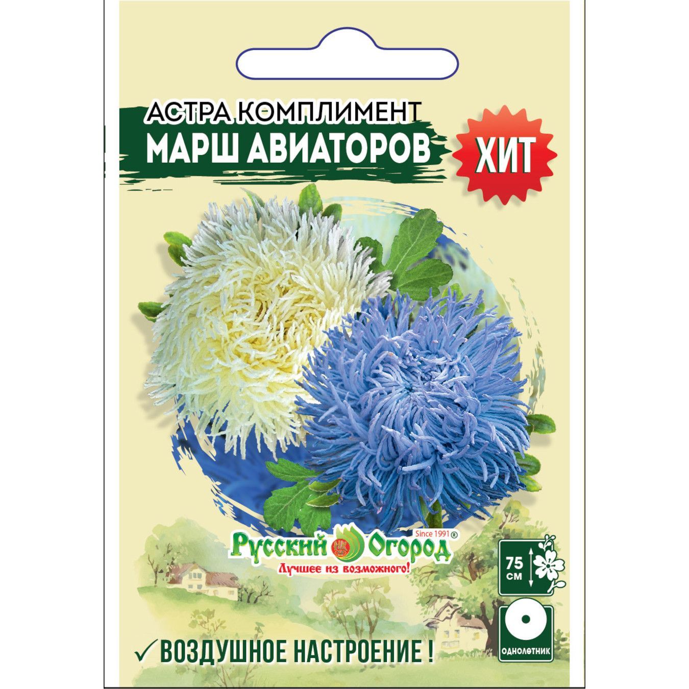 цветы авиаторов. астра синяя авиатор семена. магазин цветов академия цветочного этикета. цветы авиаторов. самолет и цветы.