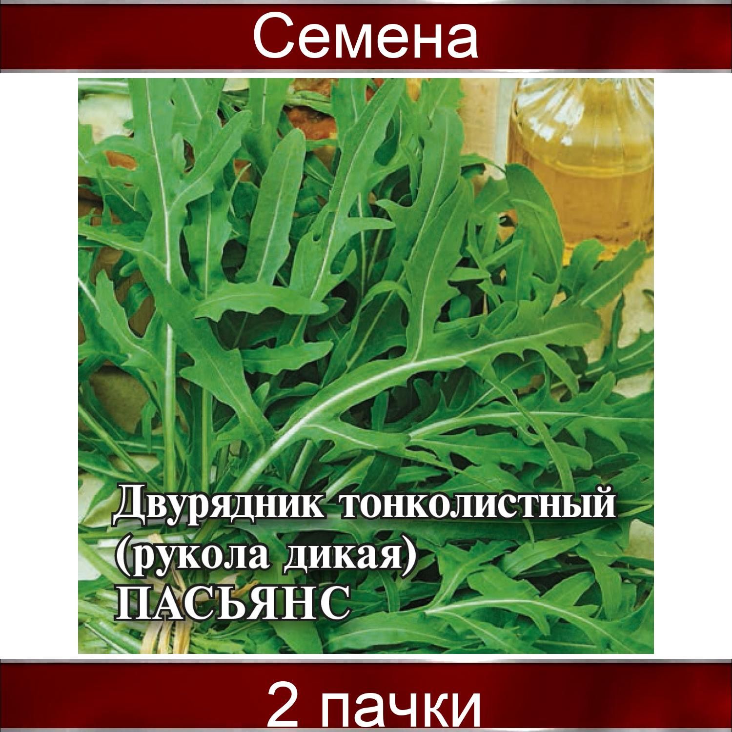 Руккола Купить