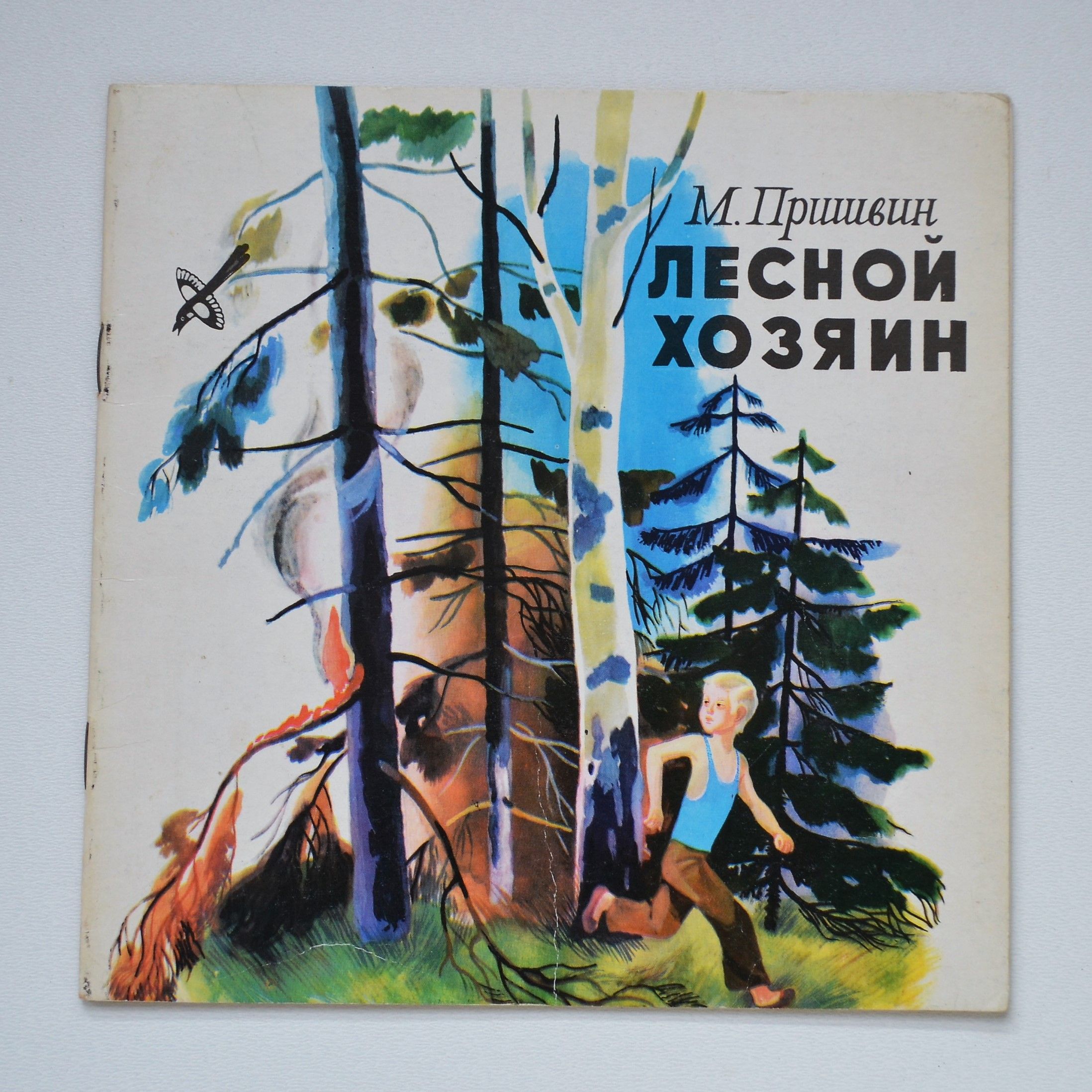 Рассказ хозяин жизни. Книга Лесной хозяин. Лесной хозяин.