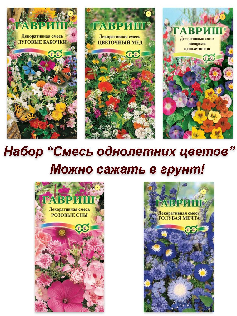 Неприхотливые однолетние цветы для клумбы, цветущие все лето: описание, сорта с фото
