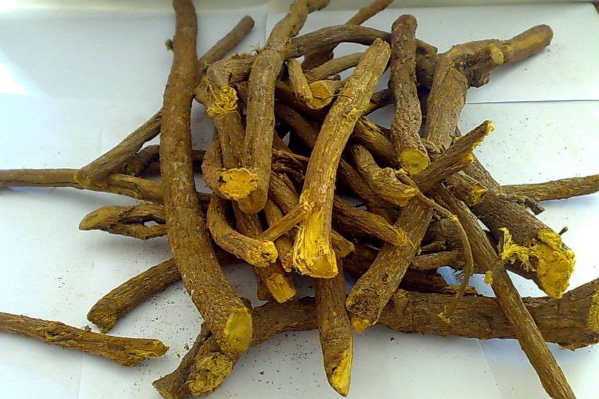 Другие корень. Корень солодки (Licorice roots). Лакрица корень солодки. Лакрица, солодковый корень.