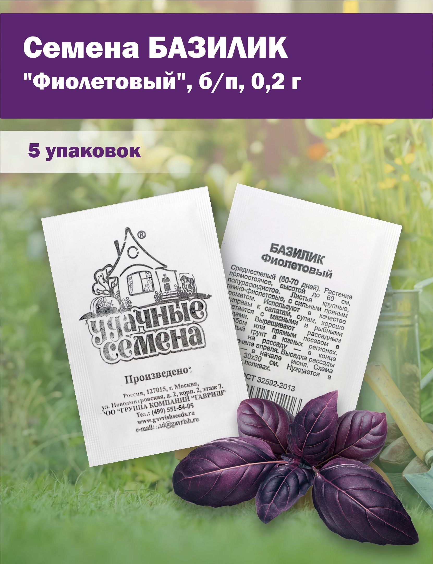 Базилик фиолетовый рецепты. Базилик фиолетовый