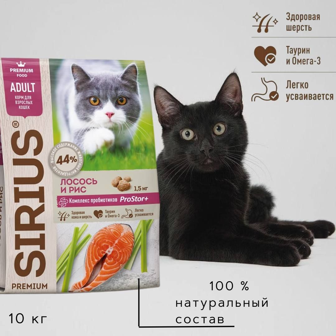 Корм для кошек Sirius, лосось и рис, 10 кг. Sirius сух.д/кошек лосось и рис 1,5кг. Корм для кошек премиум класса Сириус отзывы. Купить сириус для кошек 10