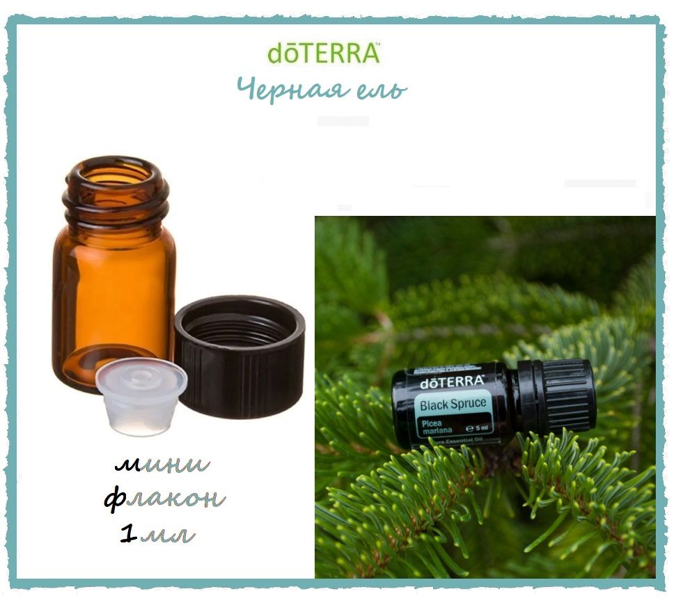 Эфирное масло черной ели. DOTERRA черная ель. Черная ель эфирное масло. Масло черной ели ДОТЕРРА свойства. Фото масло чёрная ель Дотера.