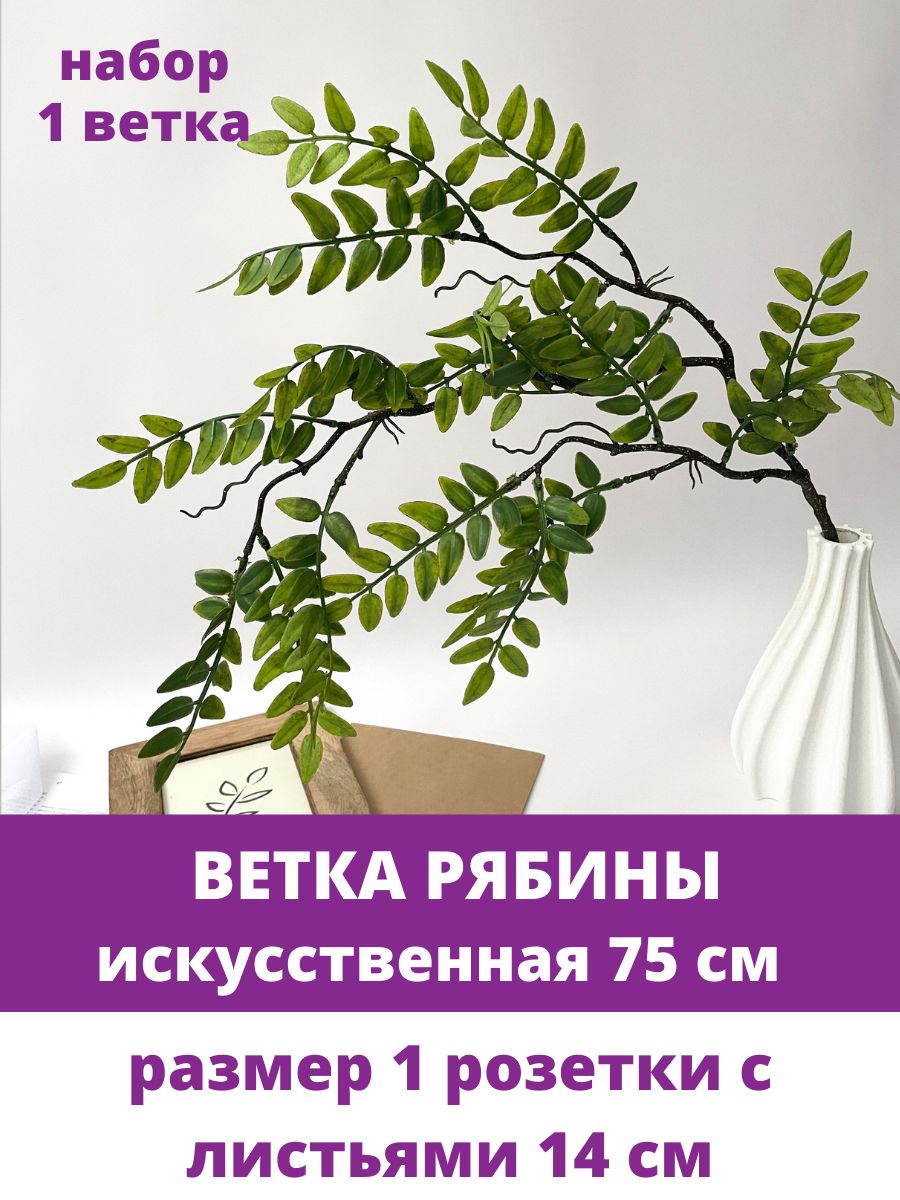 Купить Ветка Рябины, искусственная зелень, набор 1 ветка, 75 см по выгодной  цене в интернет-магазине OZON.ru (880807119)