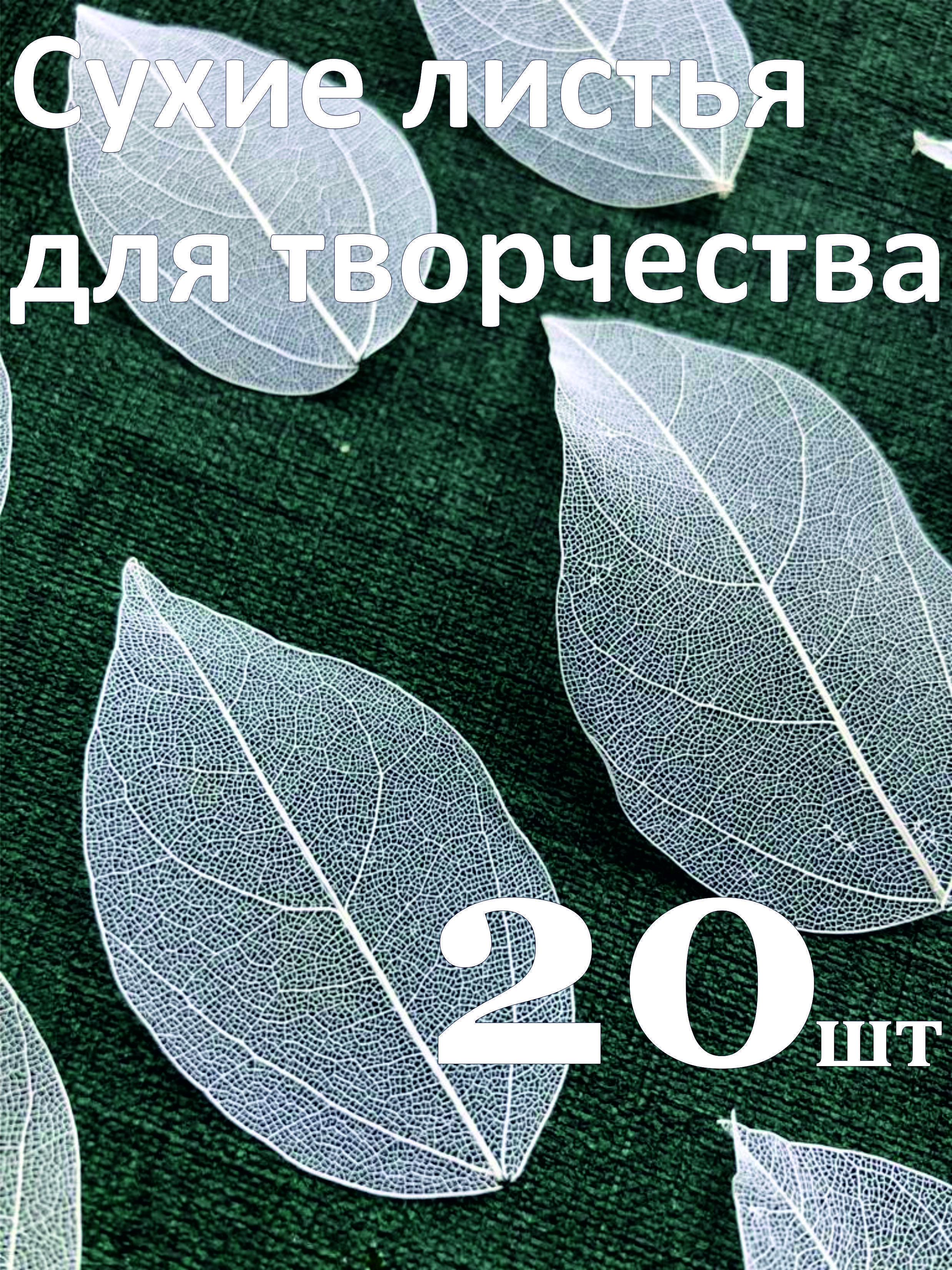 Белые листочки что это. Белые листочки что это