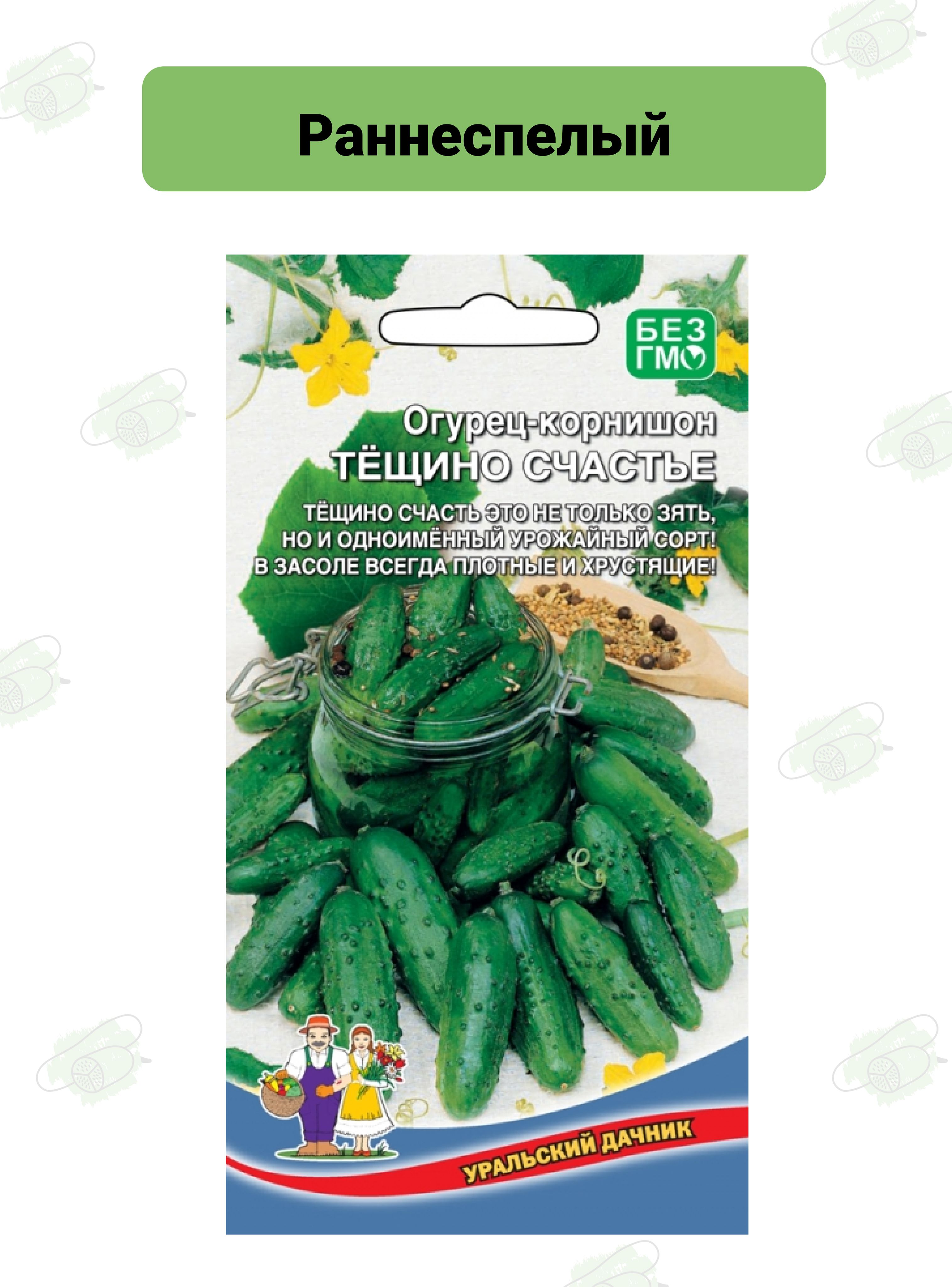 Семена Огурцы Уральский Дачник Купить