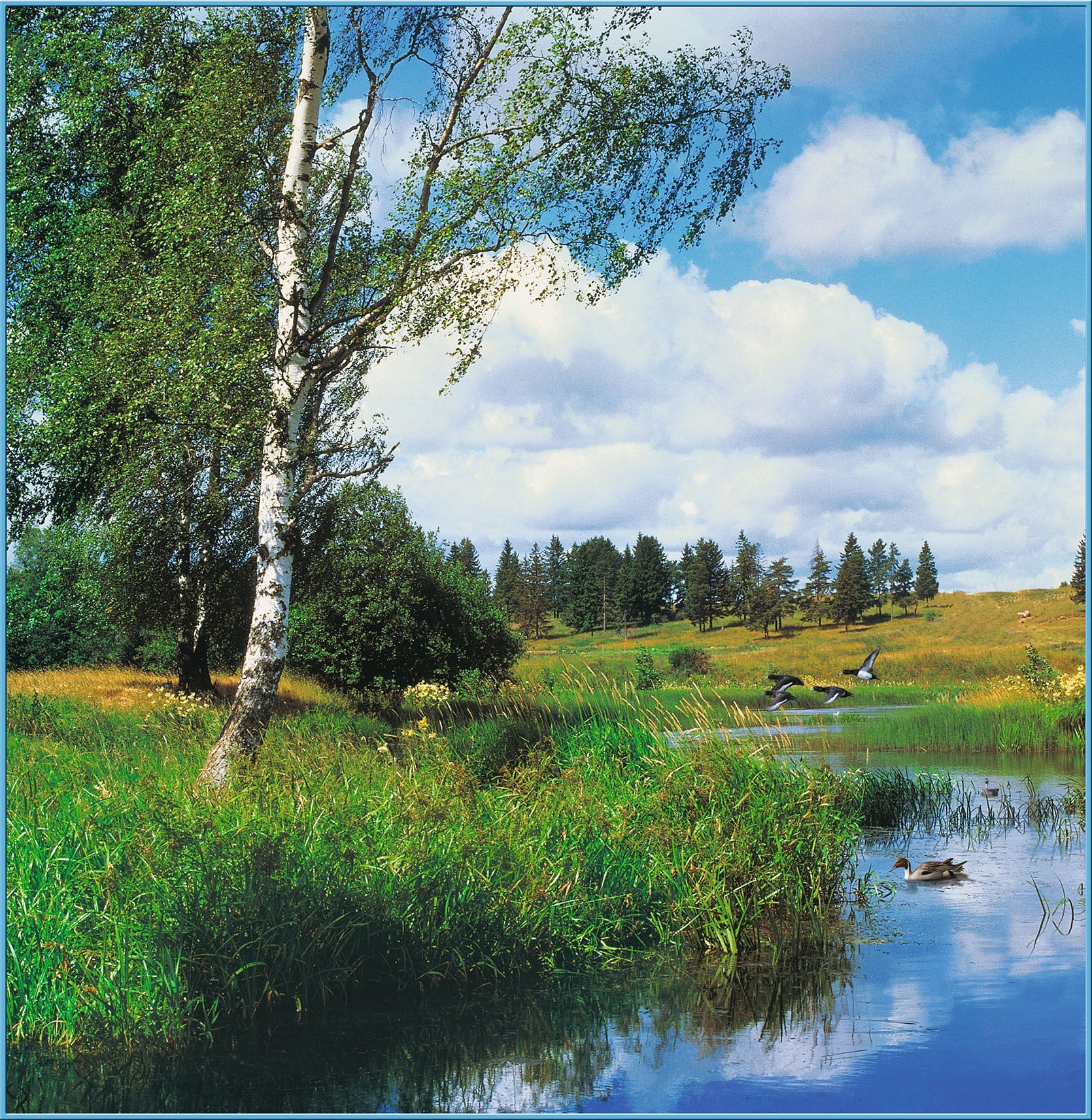 Фото русский пейзаж в хорошем качестве